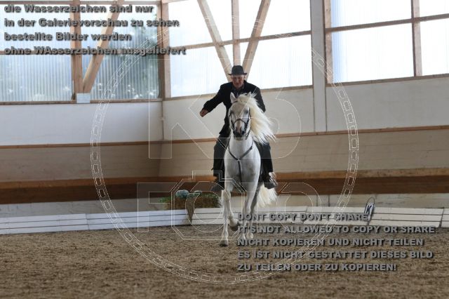 s_IMG_0003.JPG